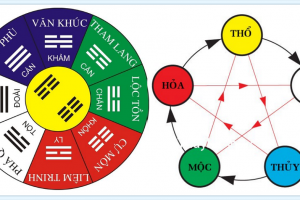 Tra cứu cung mệnh bát trạch theo tuổi